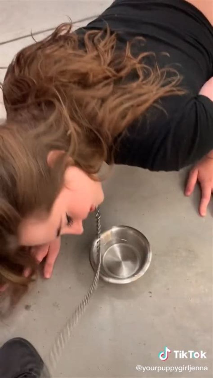 Jenna Phillips Onlyfans and TikTok: Puppy Impersonator Yourpuppygirljenna Wiki, Biography, Age, Instagram